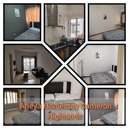 Arieya Homestay Cameron Highlands Eksteriør billede